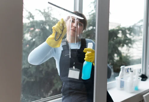 Nettoyage de vitres intérieures et extérieures à Moulon